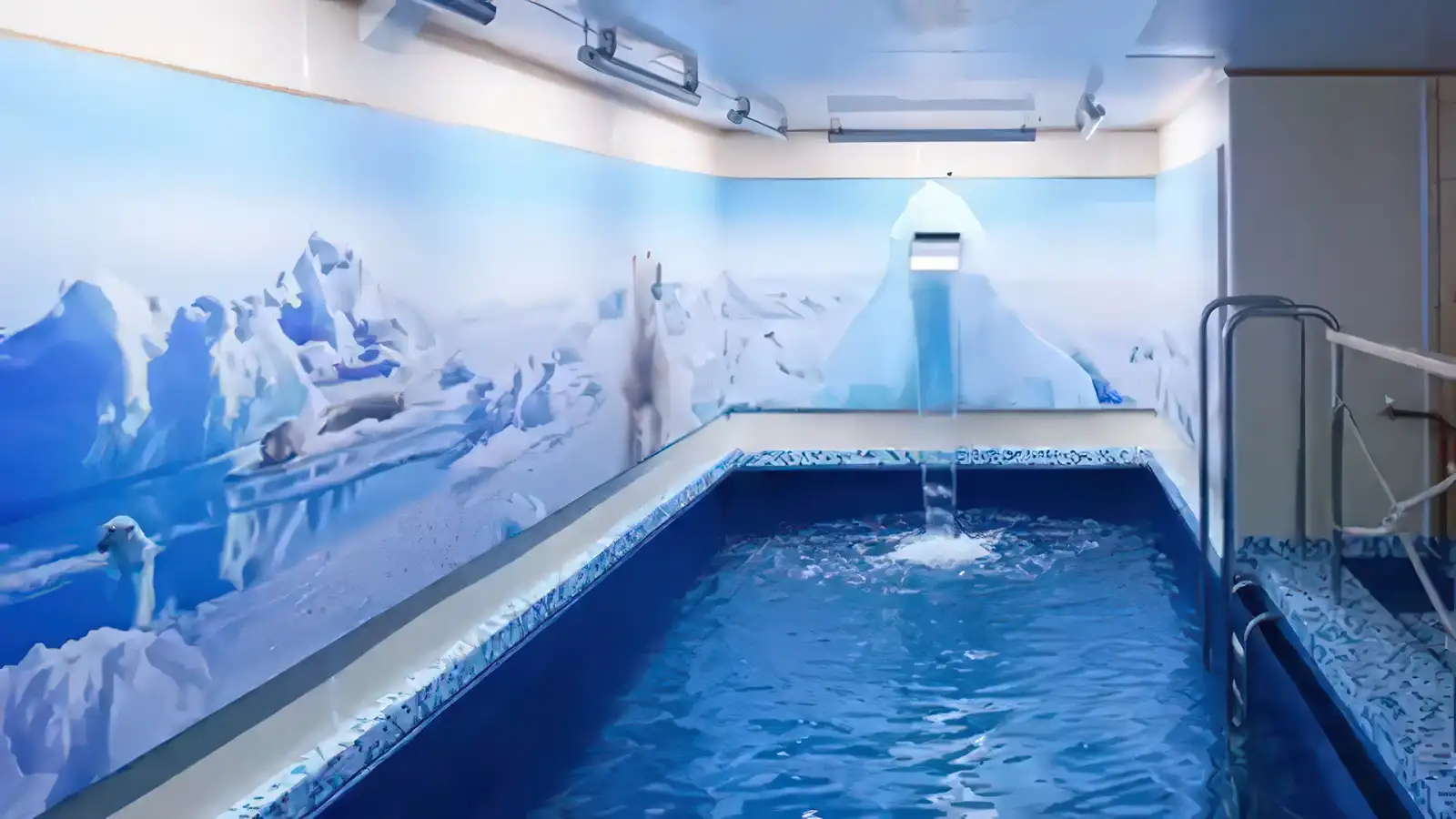 Poseidon Expeditions pool