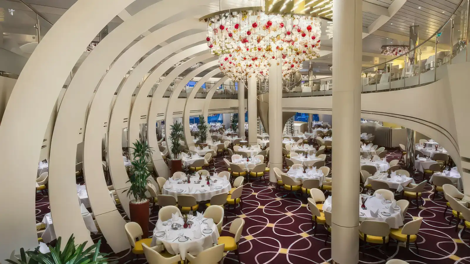 holland america dining room